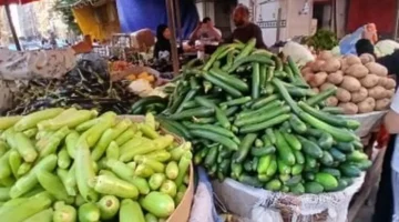أسعار الطماطم والبطاطس تتراجع في أسواق الإسكندرية اليوم وتؤثر على ميزانية الأسر